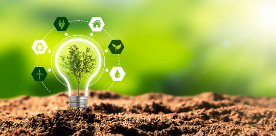 Miljøvern, fornybare, bærekraftige energikilder. Plante vokser i pærekonse